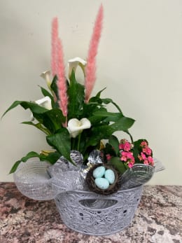 Calla plumes